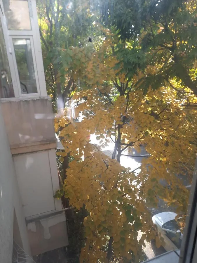 Apt 2 Camere Non Party And Free Wifii Bucharest 0*,